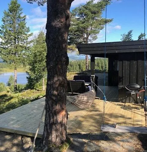 Handmade By Pond On Golsfjellet Gol